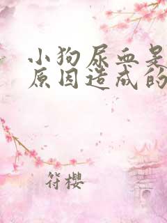 小狗尿血是什么原因造成的怎样解决