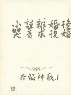 小说离婚后前夫哭着求复婚免费完本