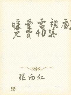 暖爱电视剧全集免费40集