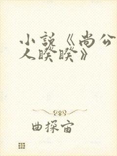 小说《尚公主伊人睽睽》