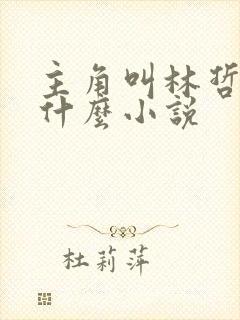 主角叫林哲的是什么小说