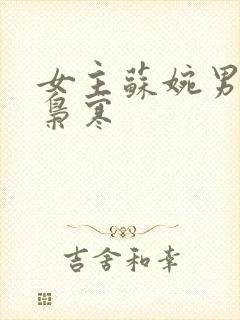 女主苏婉男主霍枭寒