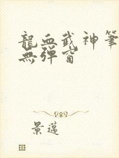龙血武神笔趣阁无弹窗