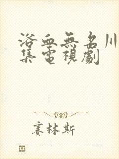 浴血无名川40集电视剧