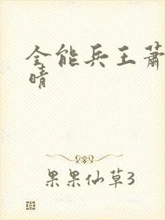 全能兵王萧晨苏晴