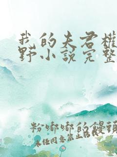 我的夫君权倾朝野小说完整版