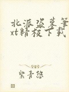 北派盗墓笔记txt精校下载