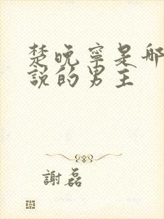 楚晚宁是哪部小说的男主