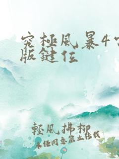 究极风暴4电脑版键位