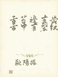 舌苔边有齿痕 舌中有裂纹