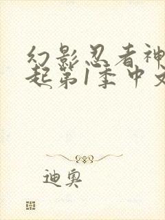 幻影忍者神龙崛起第1季中文版