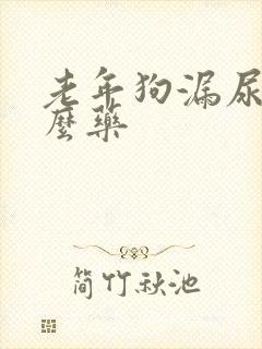 老年狗漏尿吃什么药