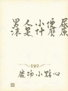 男人小便尿起泡沫是什么原因