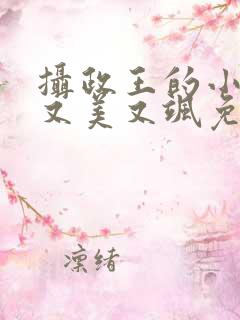 摄政王的小祖宗又美又飒免费阅读