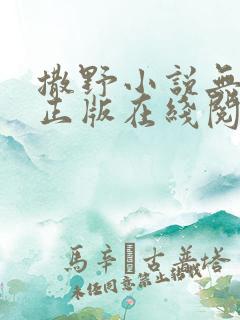 撒野小说无删减正版在线阅读