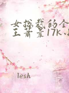 女总裁的全能兵王萧晨17k小说网