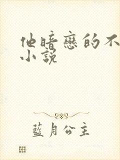 他暗恋的不是我小说