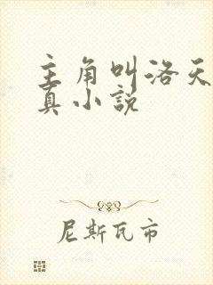 主角叫洛天的修真小说