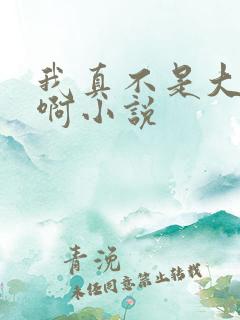 我真不是大反派啊小说
