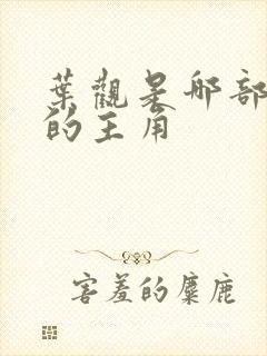 叶观是哪部小说的主角