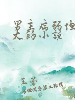 男主病弱但很强大的小说