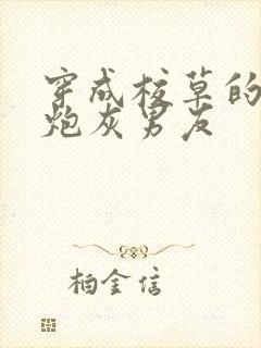 穿成校草的纯1炮灰男友