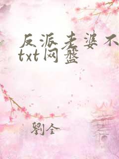 反派老婆不好做txt网盘