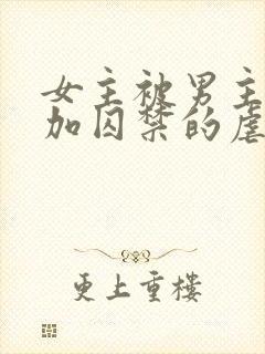 女主被男主qj加囚禁的虐文