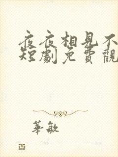 夜夜相见不识君短剧免费观看全集