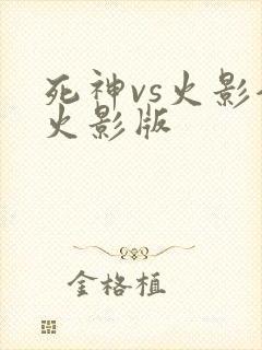 死神vs火影全火影版
