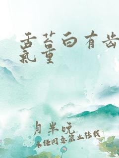 舌苔白有齿痕湿气重