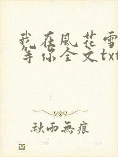 我在风花雪月里等你全文txt下载