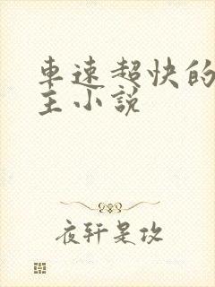 车速超快的双男主小说