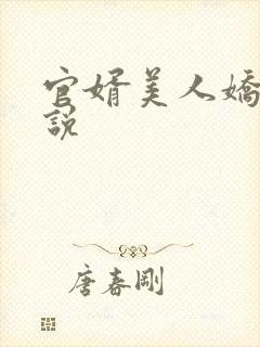 官婿美人娇的小说