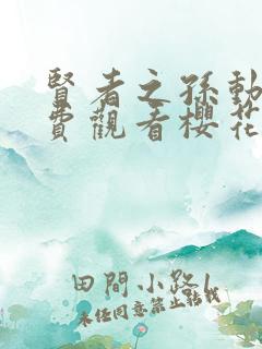 贤者之孙动漫免费观看樱花