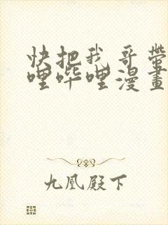 快把我哥带走哔哩哔哩漫画