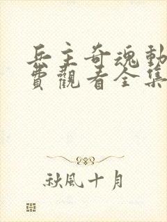 兵主奇魂动漫免费观看全集高清