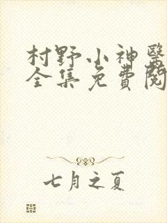 村野小神医小说全集免费阅读