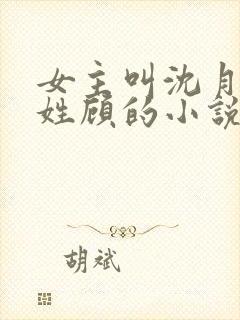 女主叫沈月男主姓顾的小说