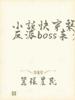 小说快穿系统之反派boss来袭