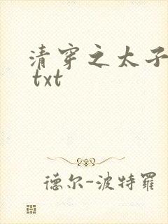 清穿之太子娇妃 txt