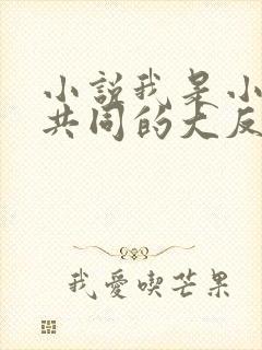 小说我是小说里共同的大反派