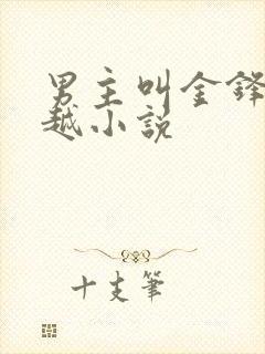 男主叫金锋的穿越小说