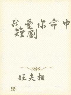 我爱你命中注定 短剧
