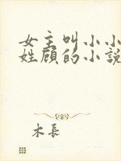 女主叫小小男主姓顾的小说