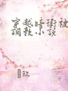 穿越暗卫被sp调教小说