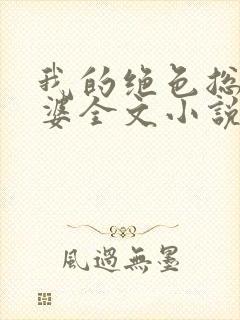 我的绝色总裁老婆全文小说