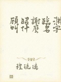 顾昭谢临渊小说叫什么名字