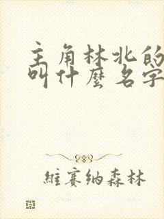 主角林北的小说叫什么名字