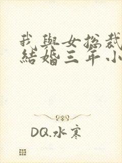 我与女总裁协议结婚三年小说